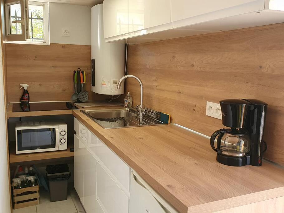Logement Amboise Centre Avec Terrasse Privee 外观 照片